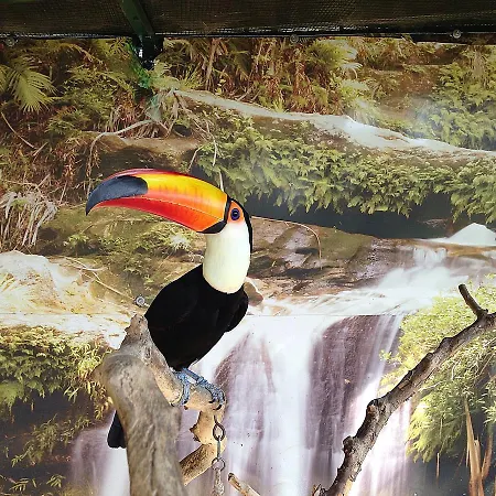 Parrot House בית נופש *