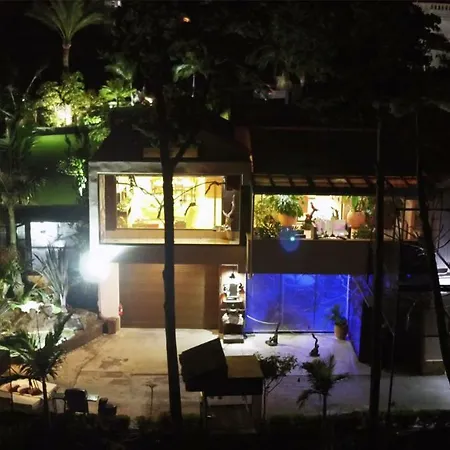 Parrot House * פלטניאס